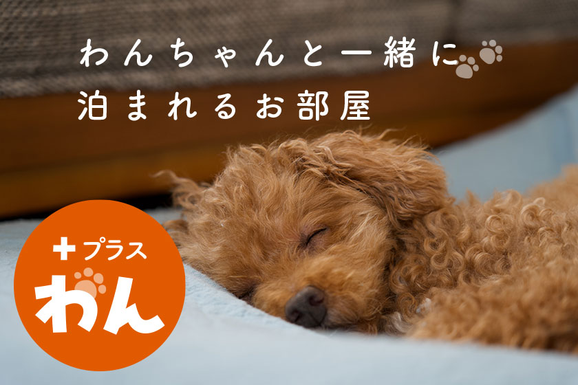 「プラスわん」のご紹介